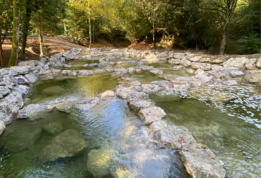 Echallens_rivière